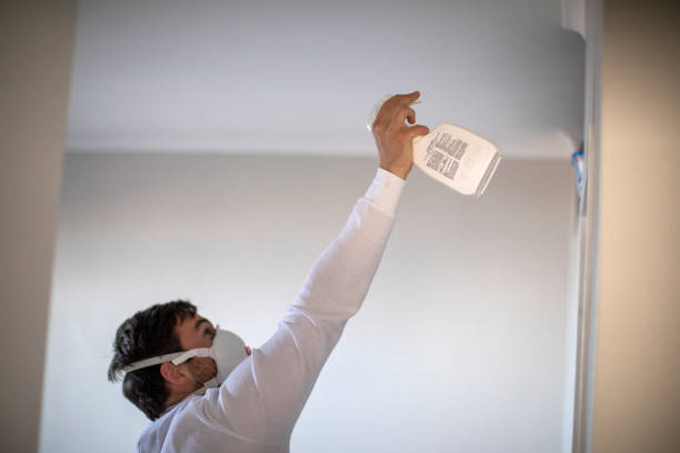 Mold Removal and Inspection in Wailua Homesteads, HI