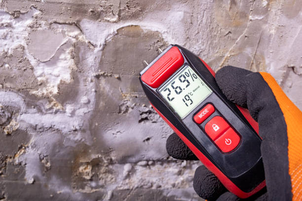 Best Mold Testing  in Wailua Homesteads, HI